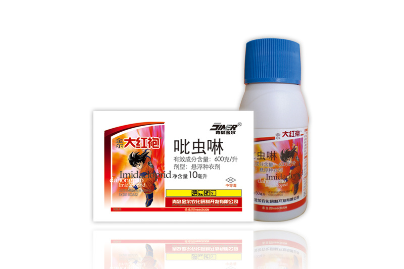 金爾大紅袍