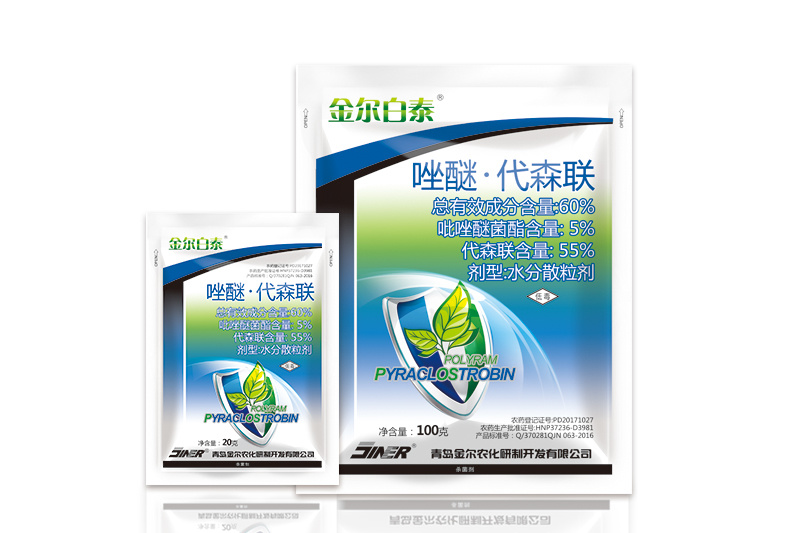 金爾白泰