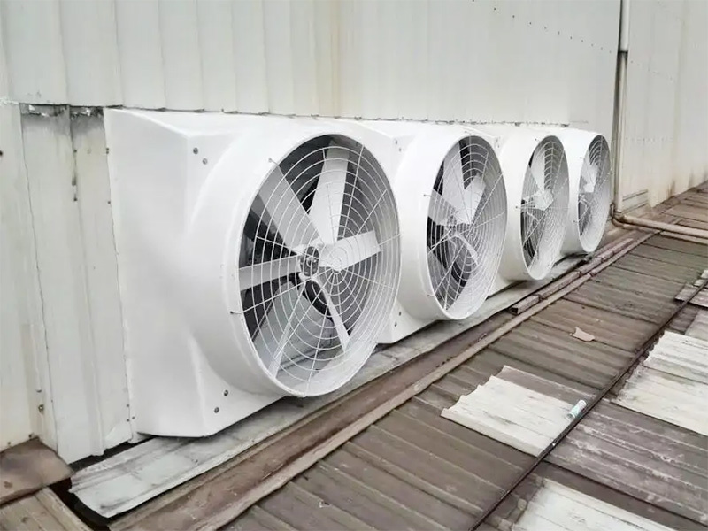 Classification and characteristics of industrial exhaust fans