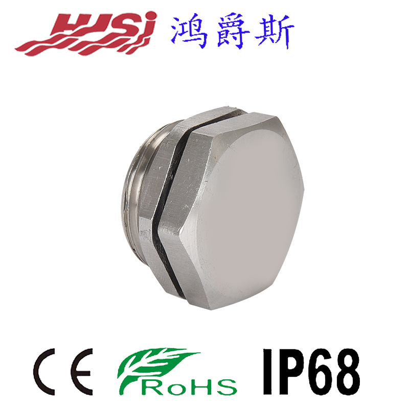 Hexagonal Plug