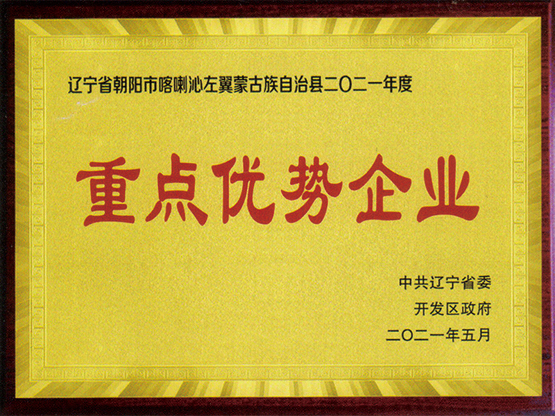 重点优势企业