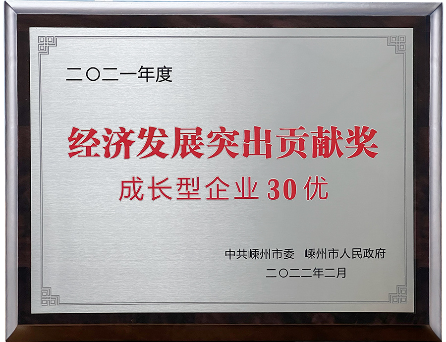 2021嵊州成长型企业30优 2021嵊州成长型企业30优