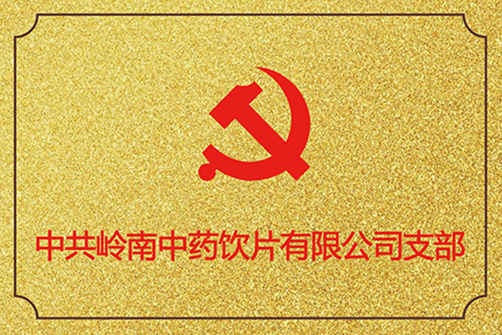 中共岭南中药饮片有限公司支部