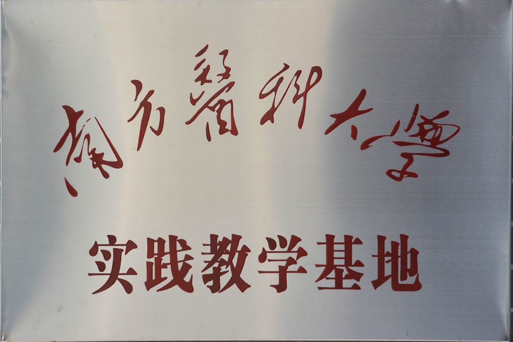 实习基地