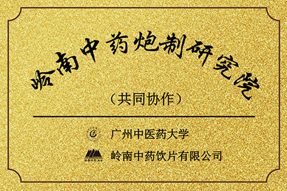 岭南中药炮制研究院