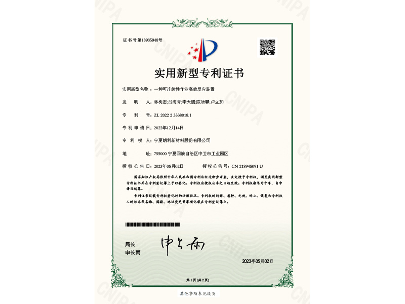 Patent