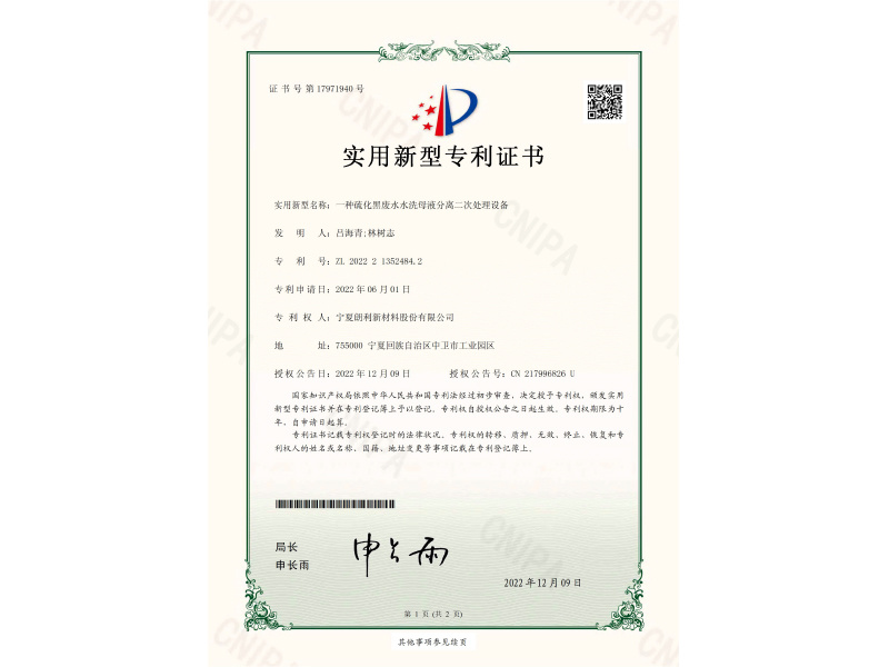 Patent