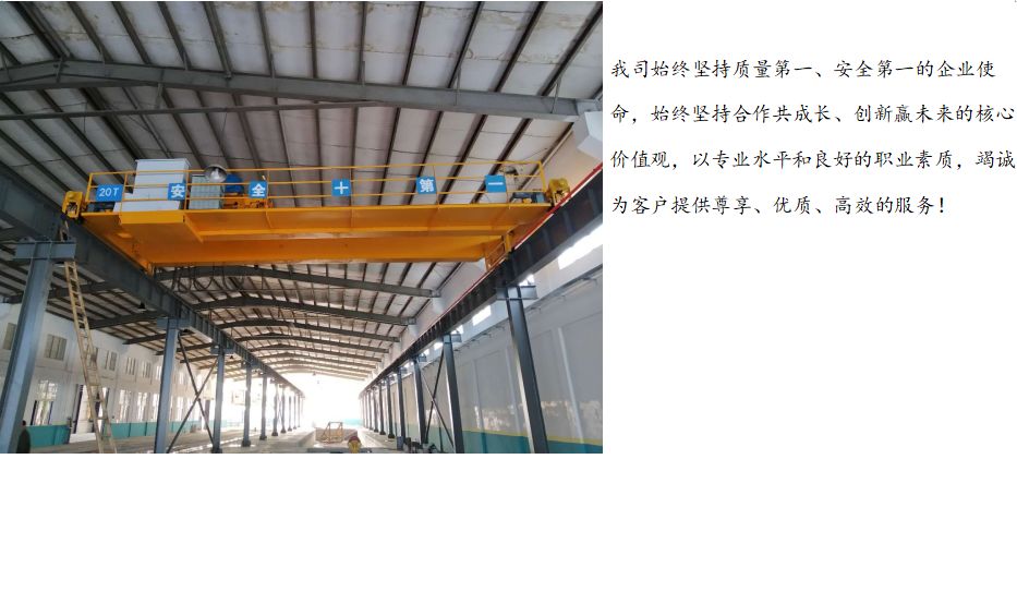 惠州高力新材料有限公司20T起重機(jī)及配套鋼構(gòu)工程順利完工