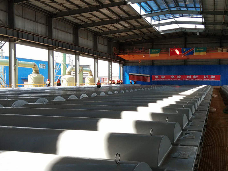 How to ensure the quality of ethylene vinyl resin electrolytic cells in Hebei?