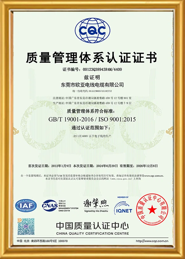 ISO 9001:2015 Chinese Certificate ISO 9001:2015 Chinese Certificate