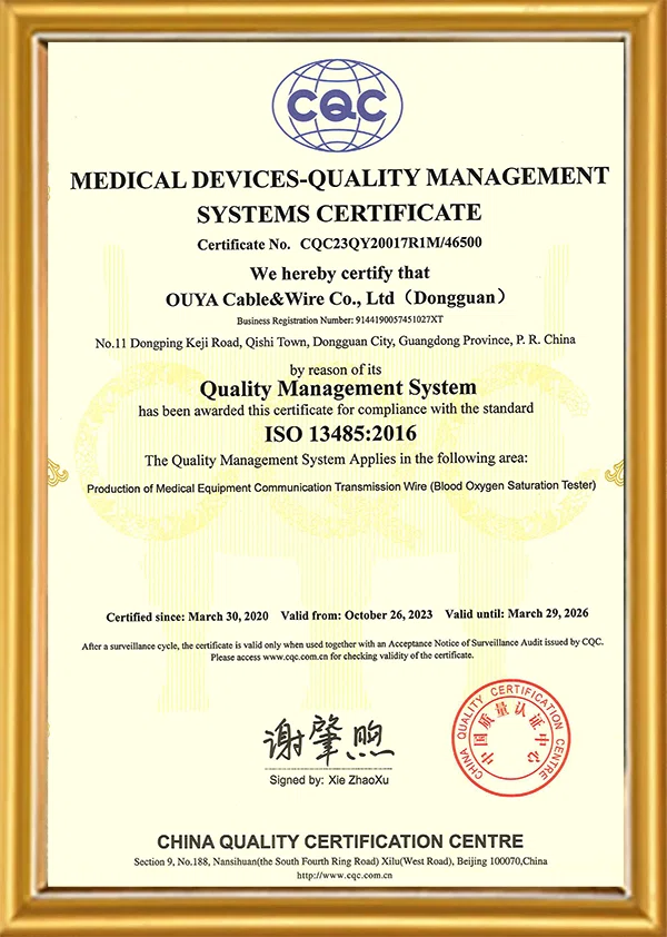 ISO13485 English Certificate ISO13485 English Certificate