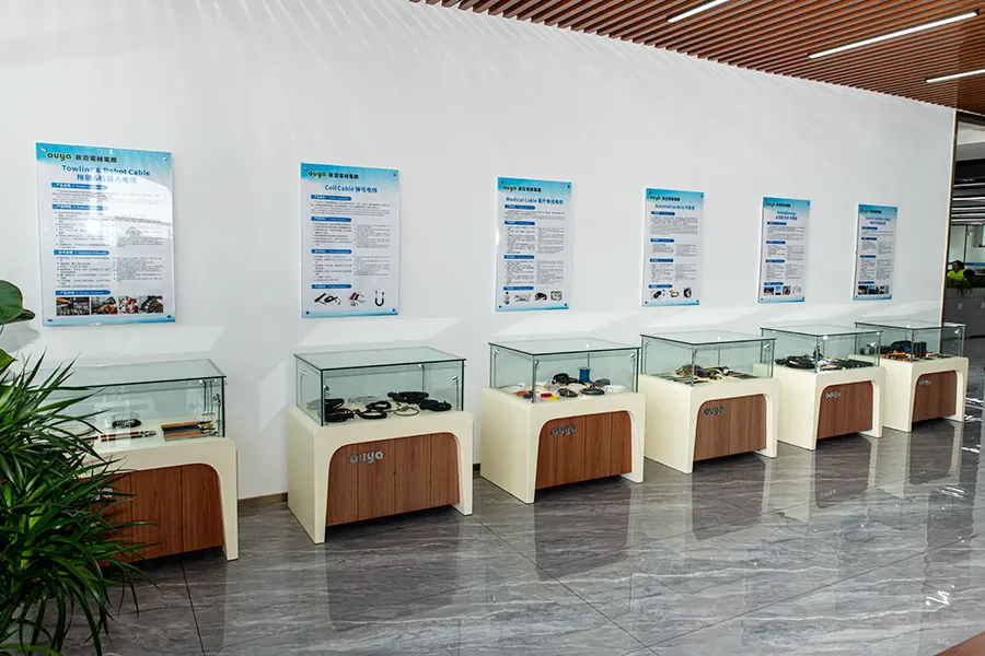 Company Environment
