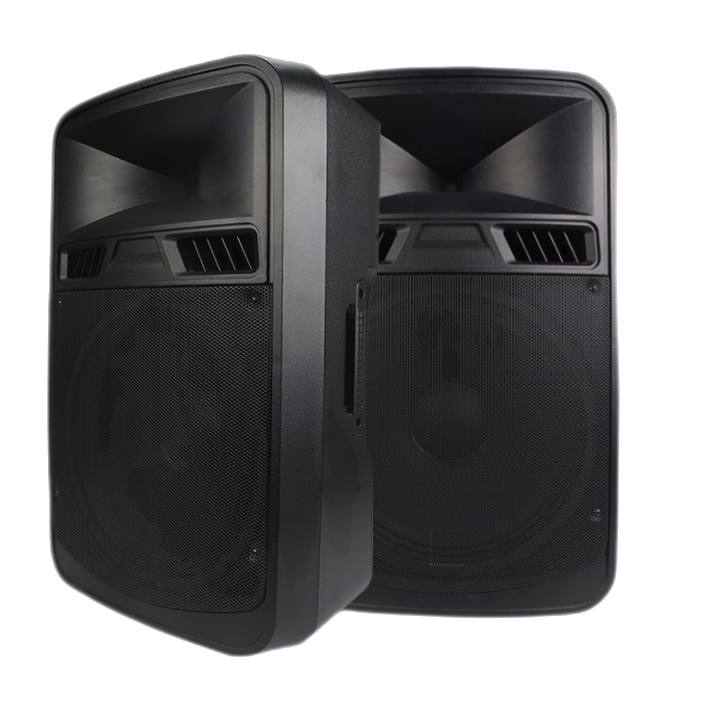 RQSONIC CAV15ADA Professional P Audio 500W 15" Inch Active Digital Powered Speaker Amplifier Plastic PA Speaker Sound System stereo home