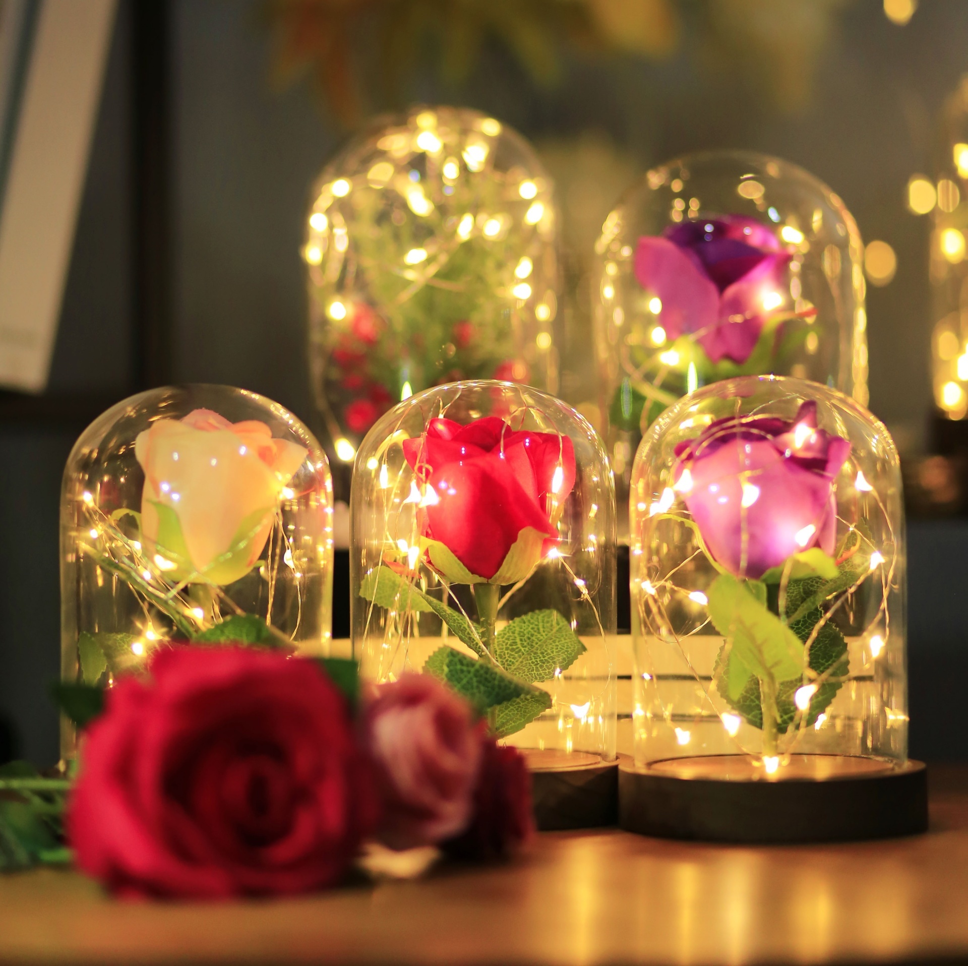 Rose dome Lights D9cm Battery operated Lights best gift lover family for Party Wedding,Christmas decoration lights