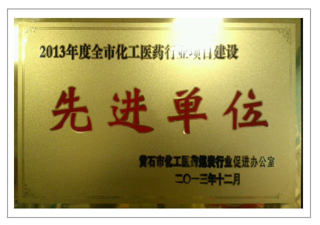 2013年度全市化工医药行业项目建设先进单位