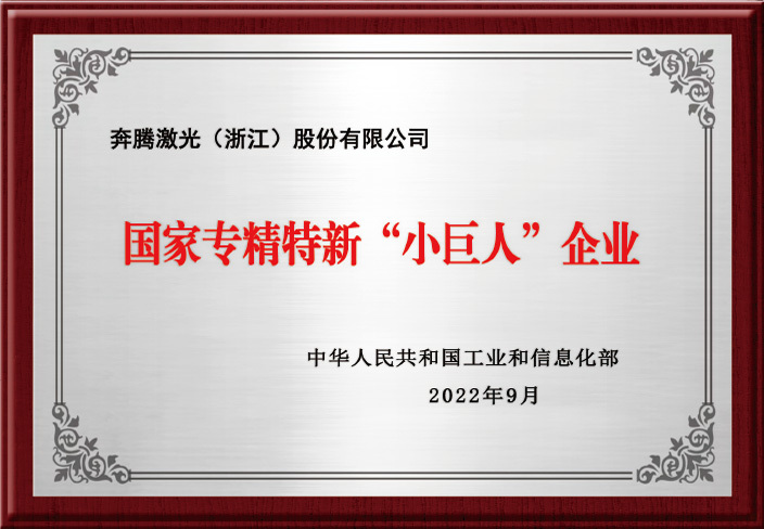 国家专精特新“小巨人”企业 国家专精特新“小巨人”企业