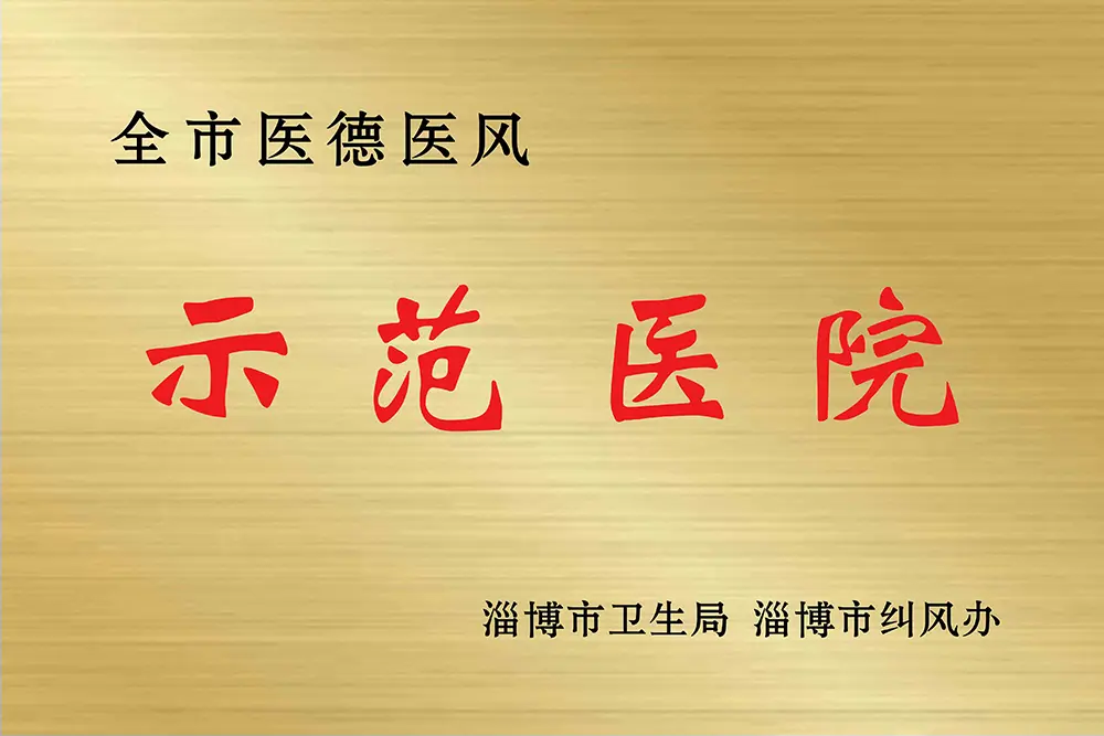 全市醫(yī)德醫(yī)風(fēng)示范醫(yī)院