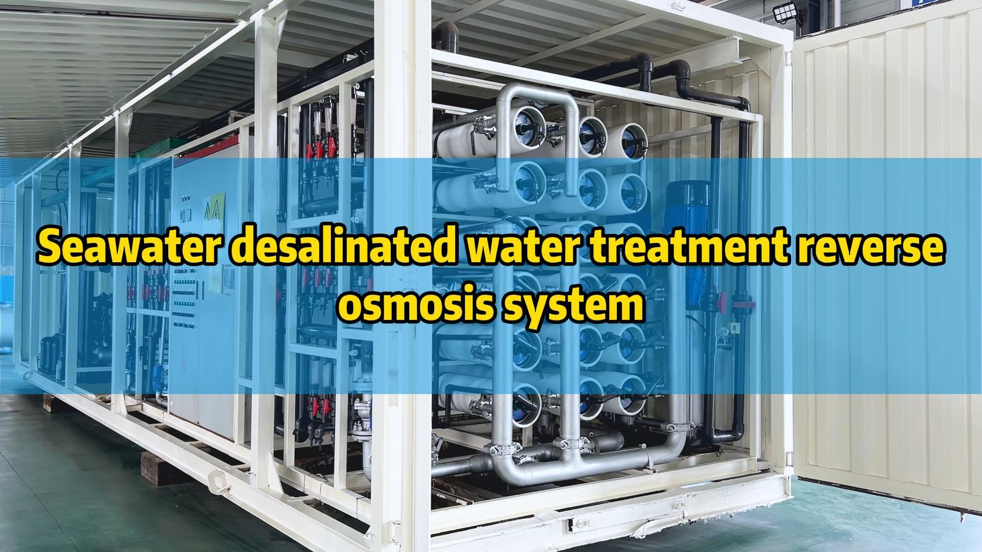 Seawater desalinated water treatment reverse osmosis system