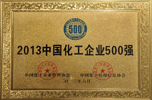 2013й˾500ǿ