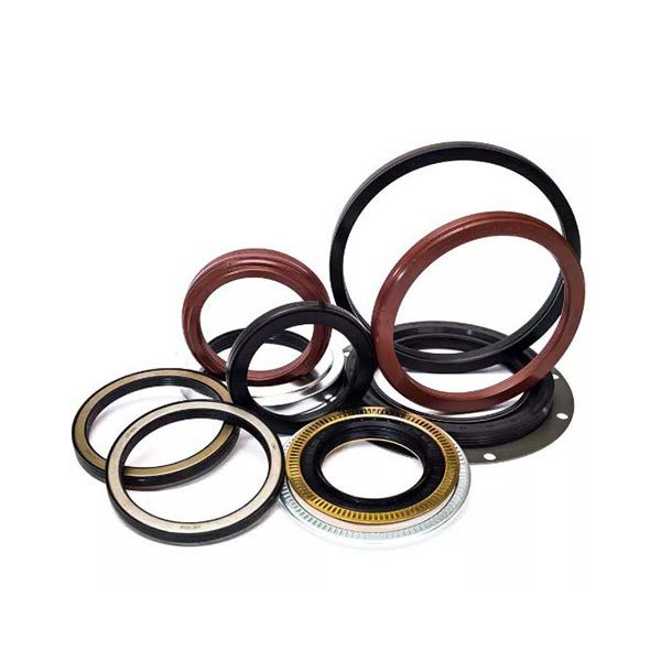 Oil Seal