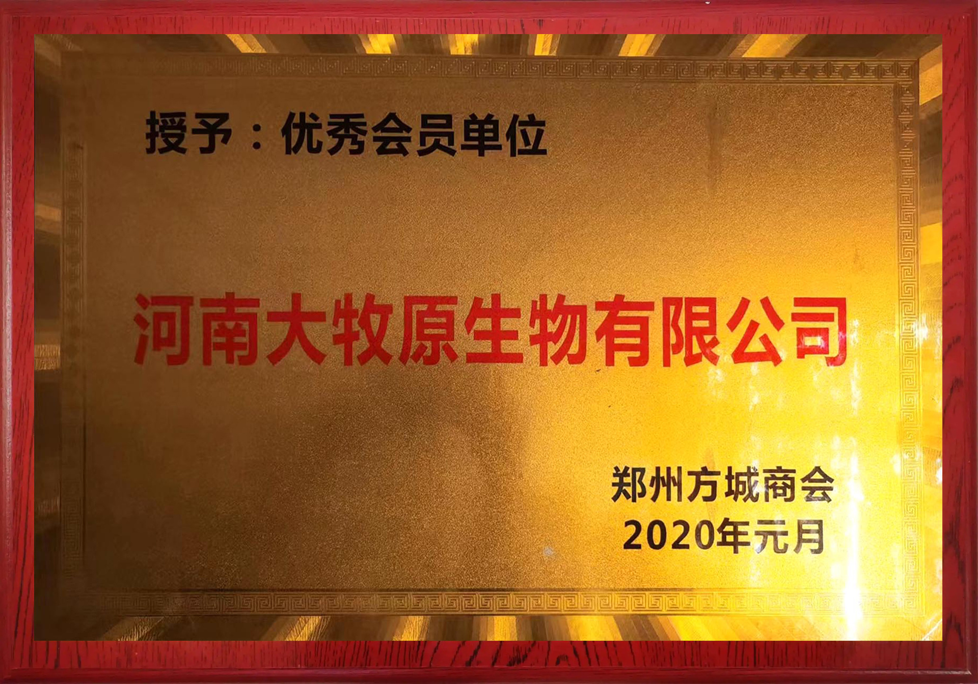 优秀会员单位