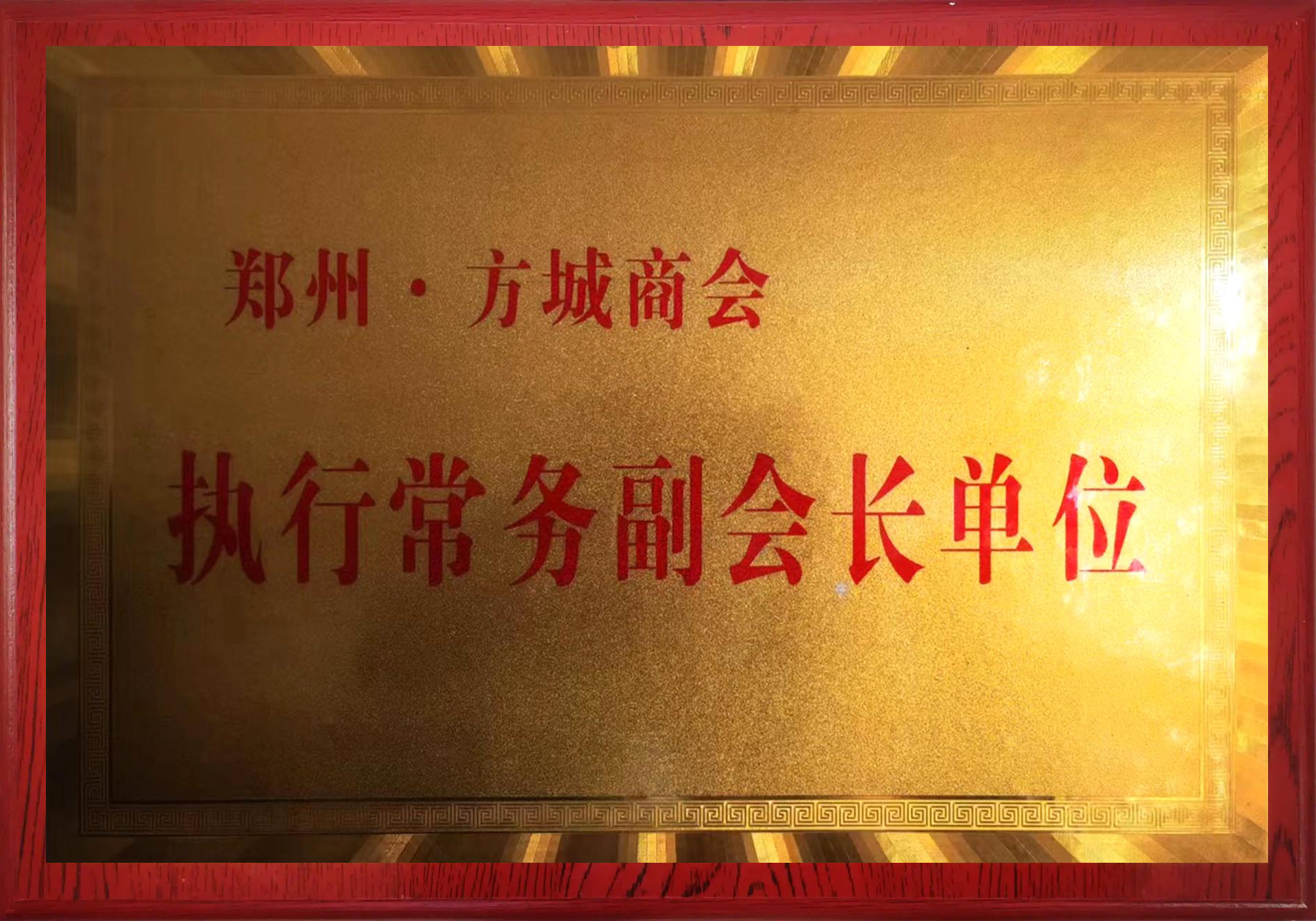 执行常务副会长单位