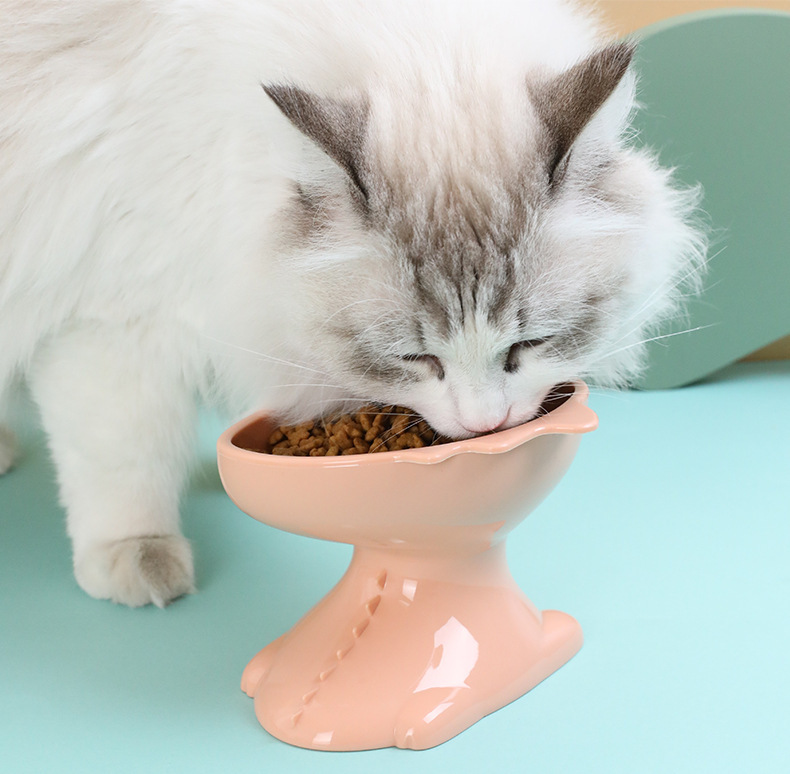 High Legged Cat Bowl, YSL240409-5