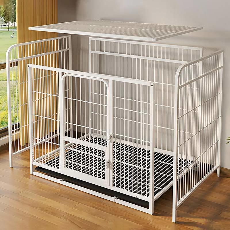 Unleash the Comfort: Discover the Best Squire Iron Pet Cages Today