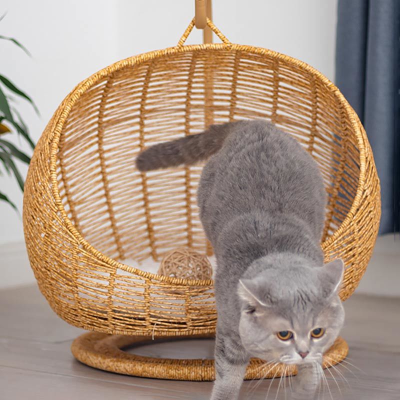 Elevate Your Pet's Comfort: Exploring the Benefits of Rattan Hanging Cat Beds