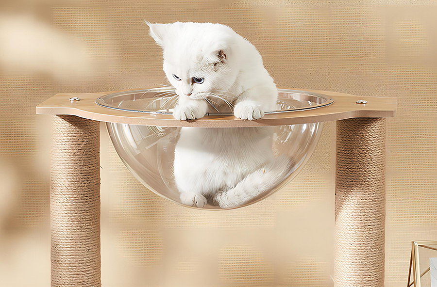 The Market Outlook of Pet Furniture
