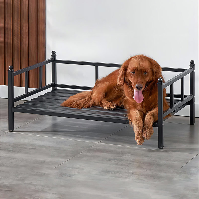Iron Frame Dog Bed, YSL24053
