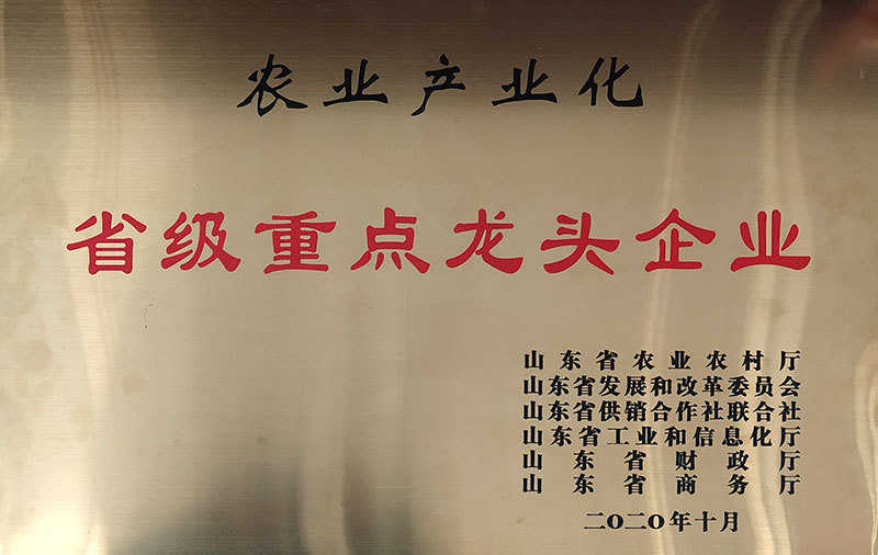 资质荣誉