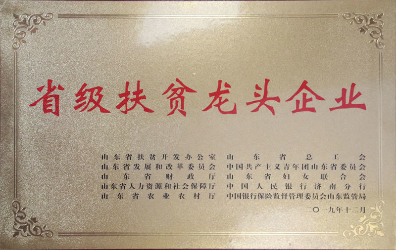 资质荣誉