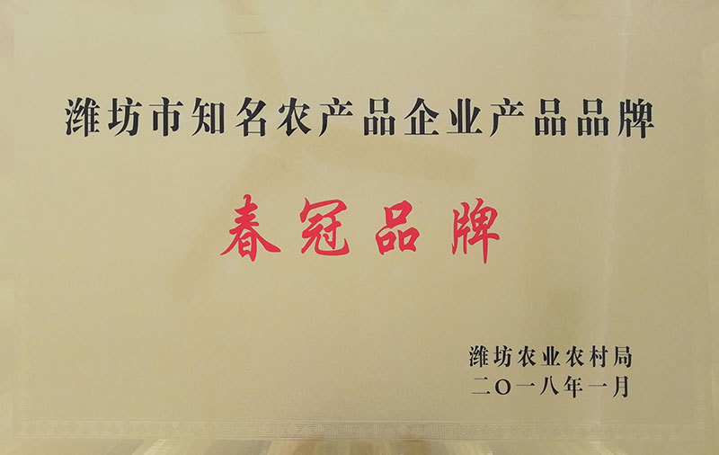 资质荣誉