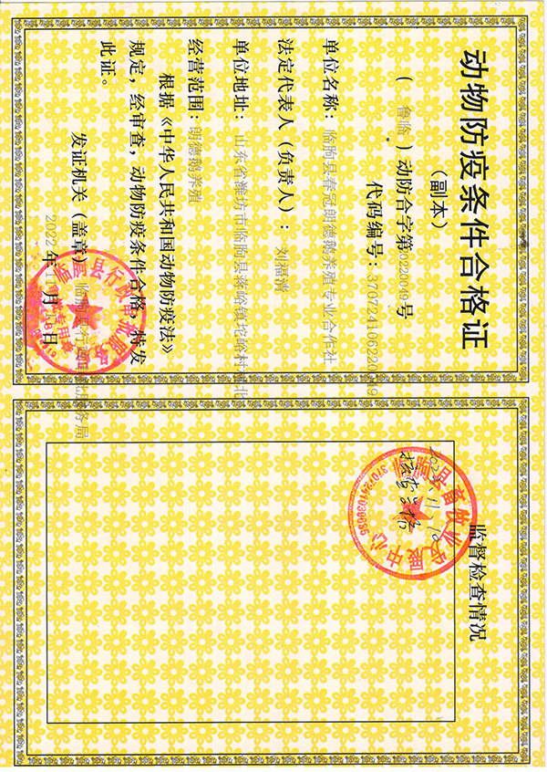 资质荣誉