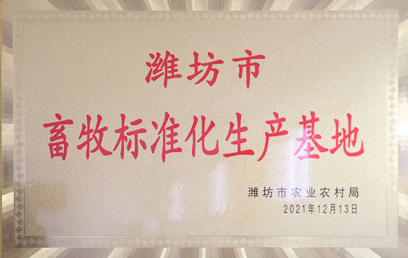 资质荣誉