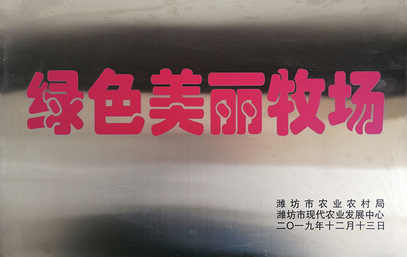 资质荣誉