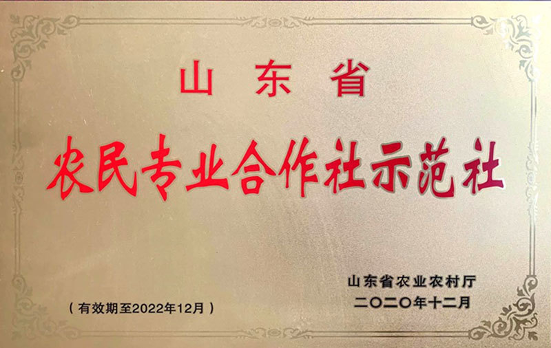 资质荣誉