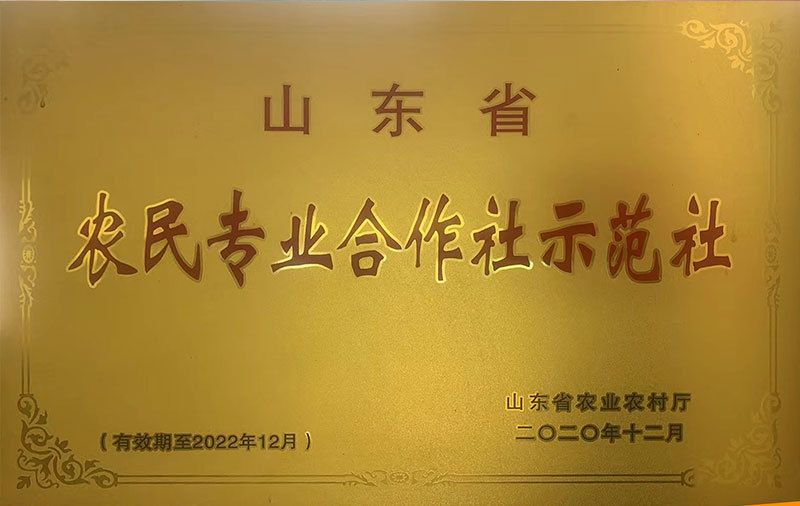 资质荣誉