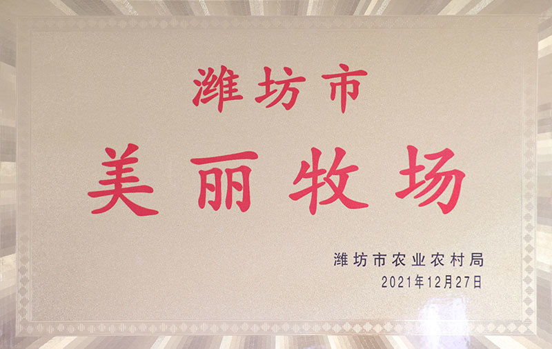资质荣誉