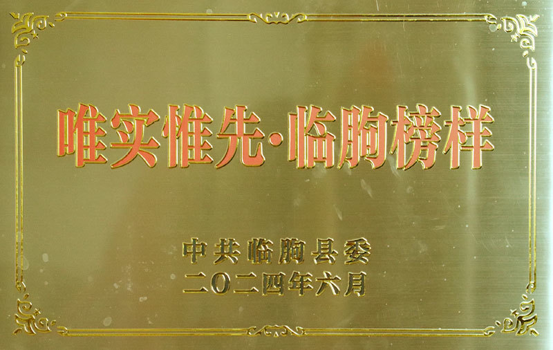 资质荣誉