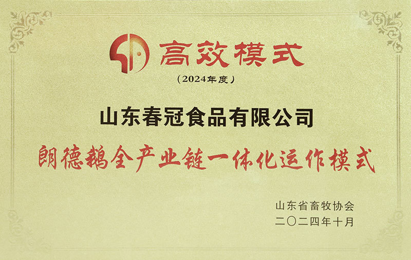 资质荣誉