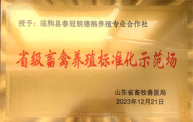 资质荣誉