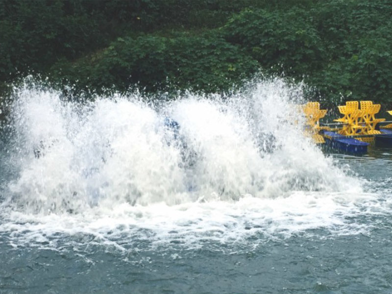 How Do Small Pond Aerators And Lake Aerators Help Improve The Survival Rate Of Fish?