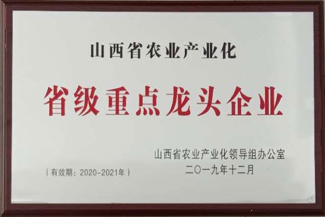 企业荣誉