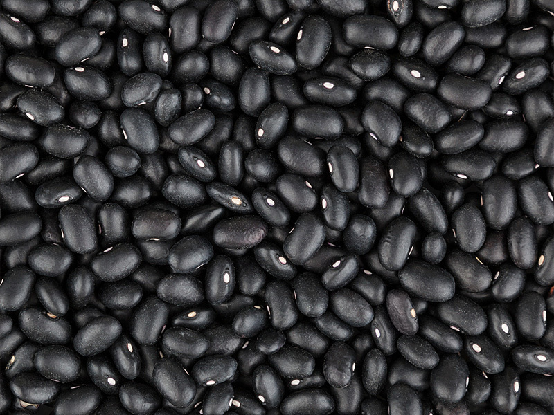 Black Kidney Beans