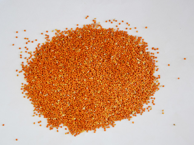 Red Millet