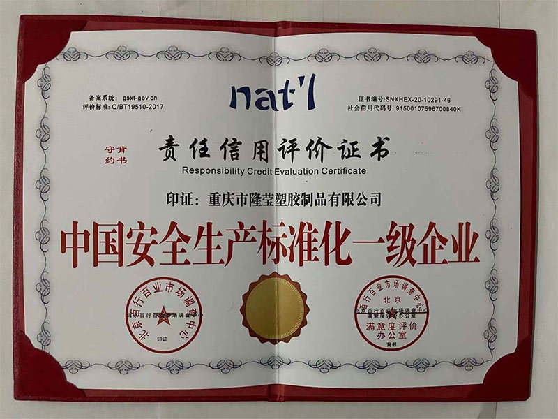 中国安全生产标准化一级企业