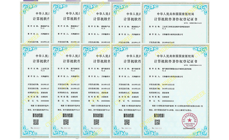 10個計算機軟著