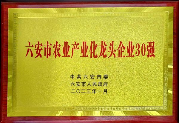全縣農業產業化龍頭企業十強 全縣農業產業化龍頭企業十強